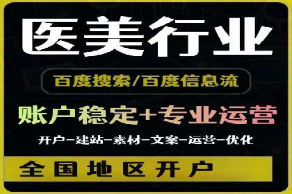 百度广告投放策略优化及成功案例解析